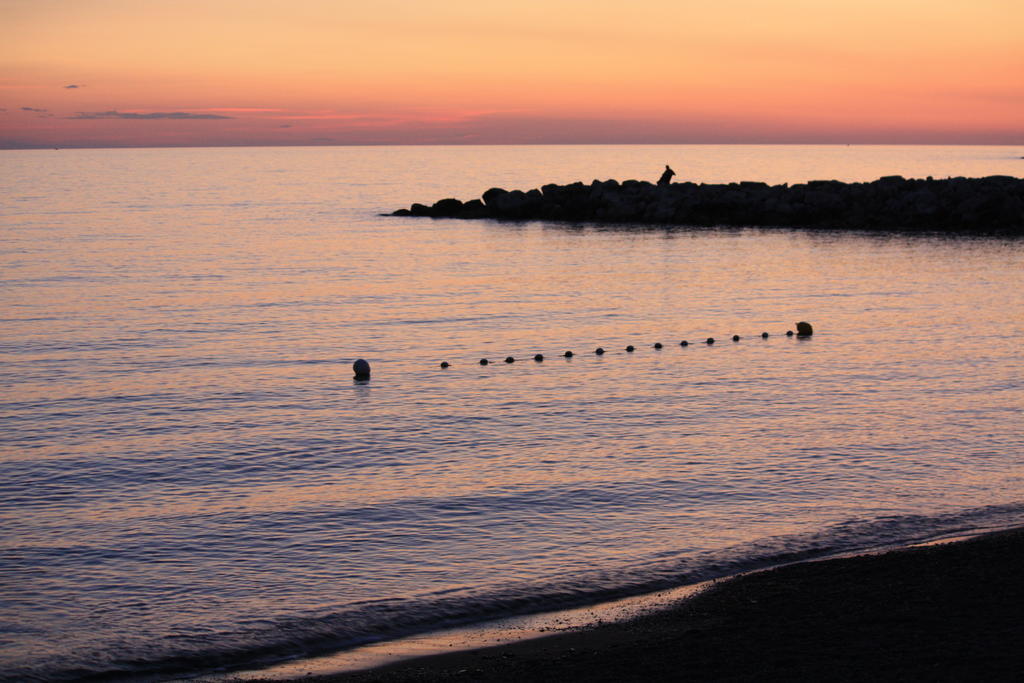 Lungomare Hotel Marina di Cecina Exterior photo
